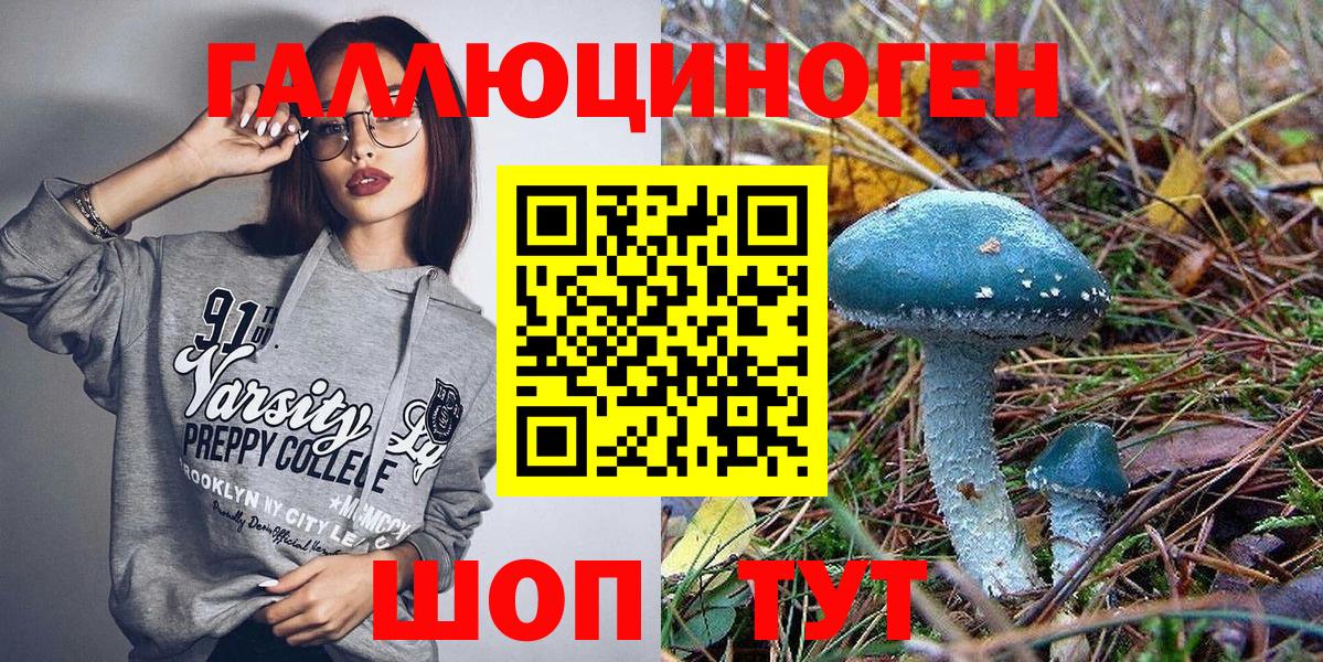 Псилоцибиновые грибы Psilocybine cubensis Верхняя Салда
