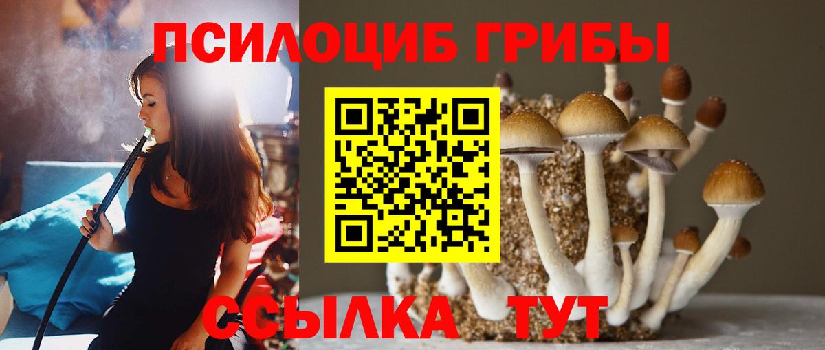 Галлюциногенные грибы Psilocybine cubensis  Вход с VPN  Псилоцибиновые грибы мухоморы  Верхняя Салда 